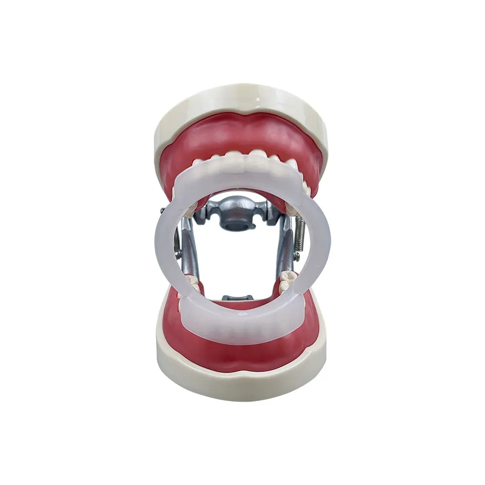 100pcs/bag Dental O-Shape Intr - Teeth Whitening With Braces review and price