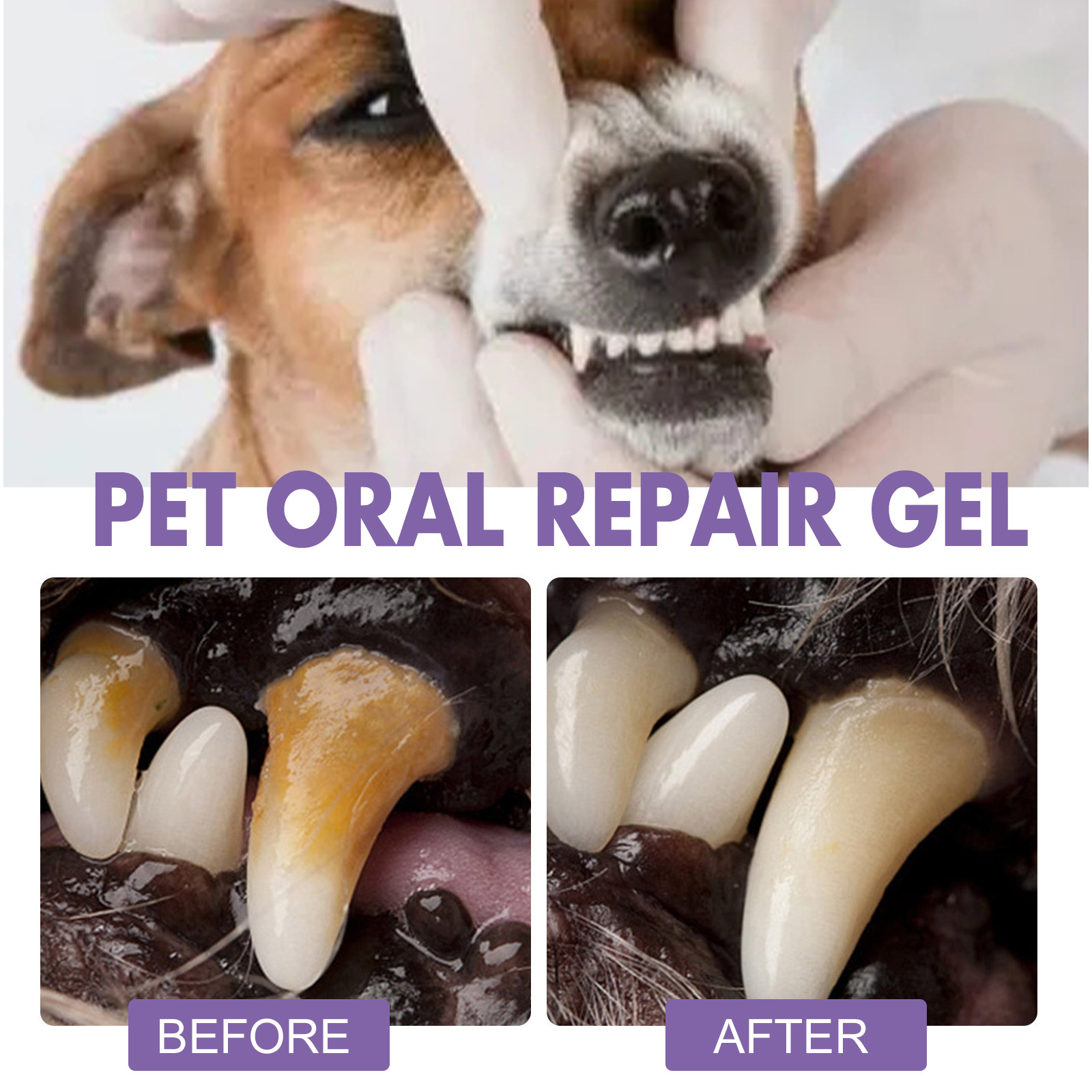 Pet Oral Repair Gel Puppy Tart - Teeth Whitening Q&M review and price